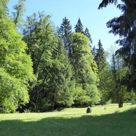 Auszeit Vom Alltag Kirchenkirnberg